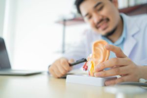 Hearing loss specialist pointing at a model of an ear